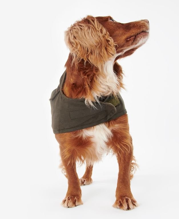 Barbour 2 in 1 Wax Dog Coat - Olive