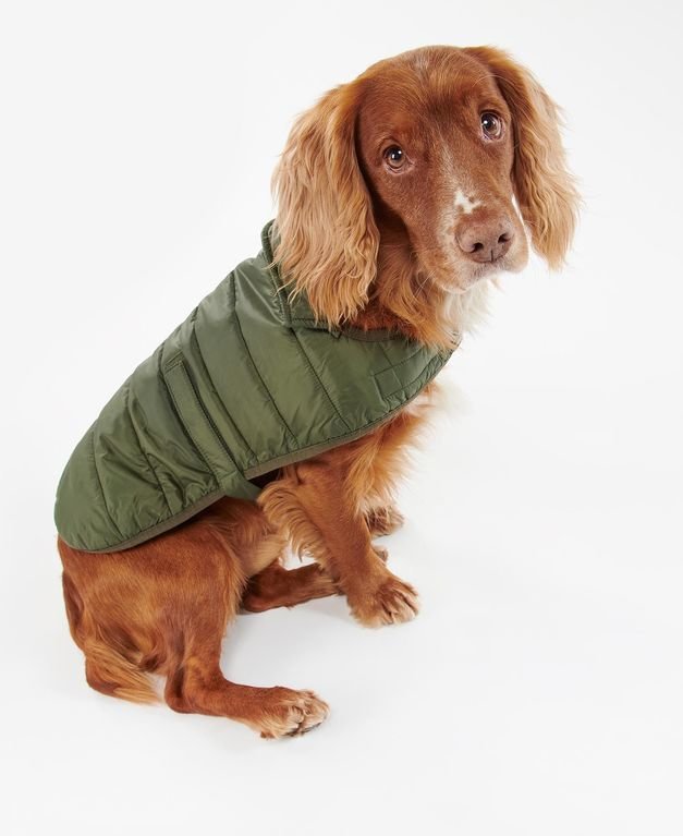 Barbour Baffle Quilted Dog Coat - Olive