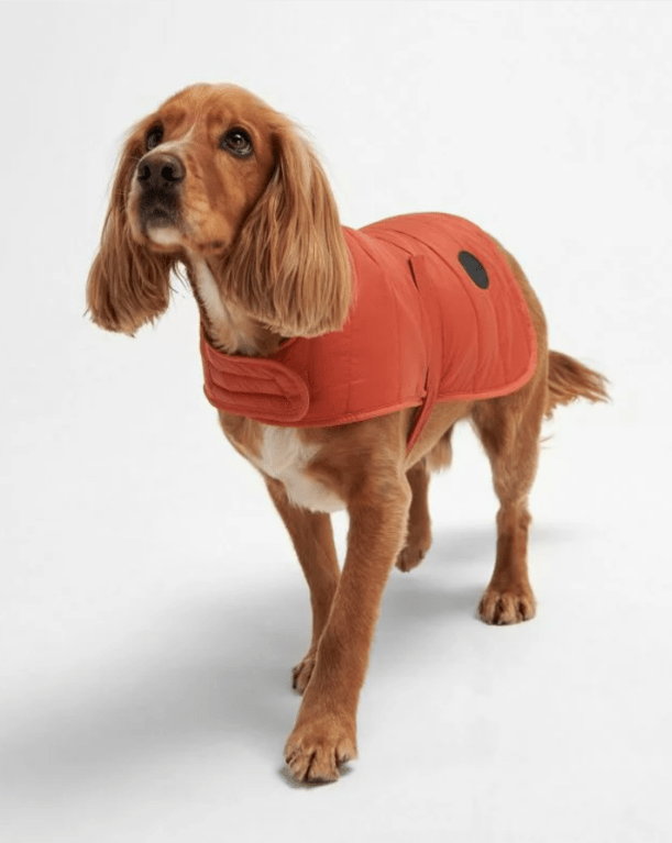 Barbour Baffled Quilted Dog Coat - Ginger