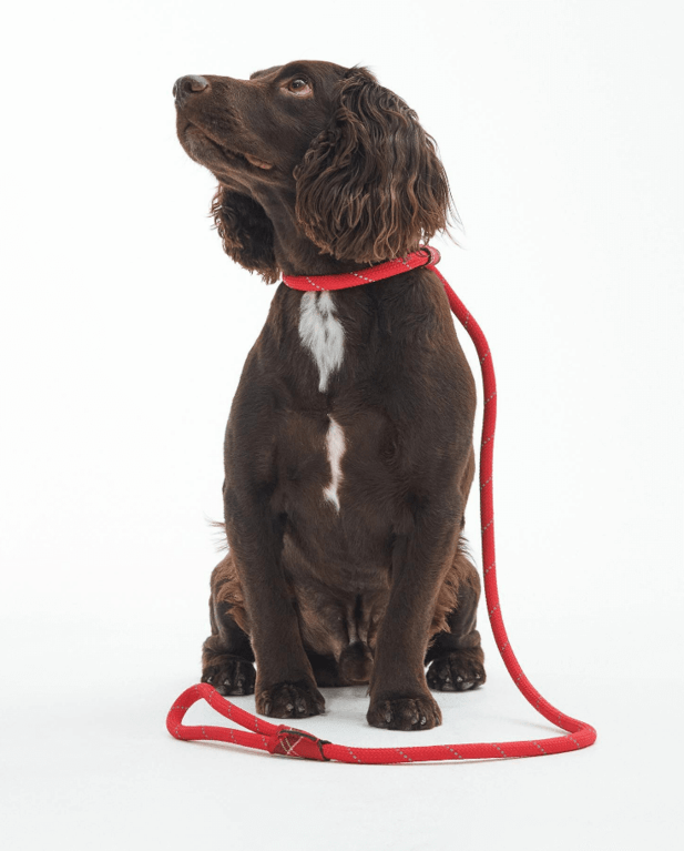 Barbour Reflective Slip Dog Lead - Red