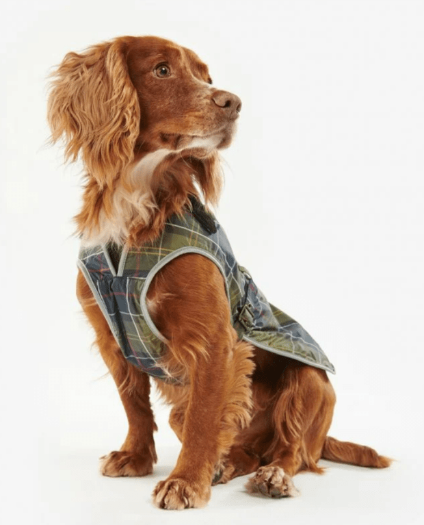 Barbour Waterproof Tartan Dog Coat - Classic