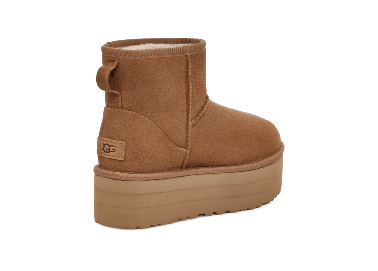 Ugg suede 2025 dog coat