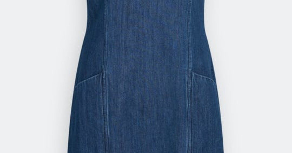 seasalt denim dress