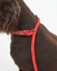 Barbour Reflective Slip Dog Lead - Red Thumbnail