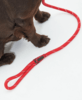 Barbour Reflective Slip Dog Lead - Red Thumbnail