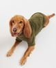 Barbour Teddy Fleece Dog Jumper - Olive Thumbnail