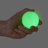 Petface Glow in the Dark Ball  Thumbnail