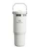 Stanley IceFlow Flip Straw Tumbler - Frost Thumbnail