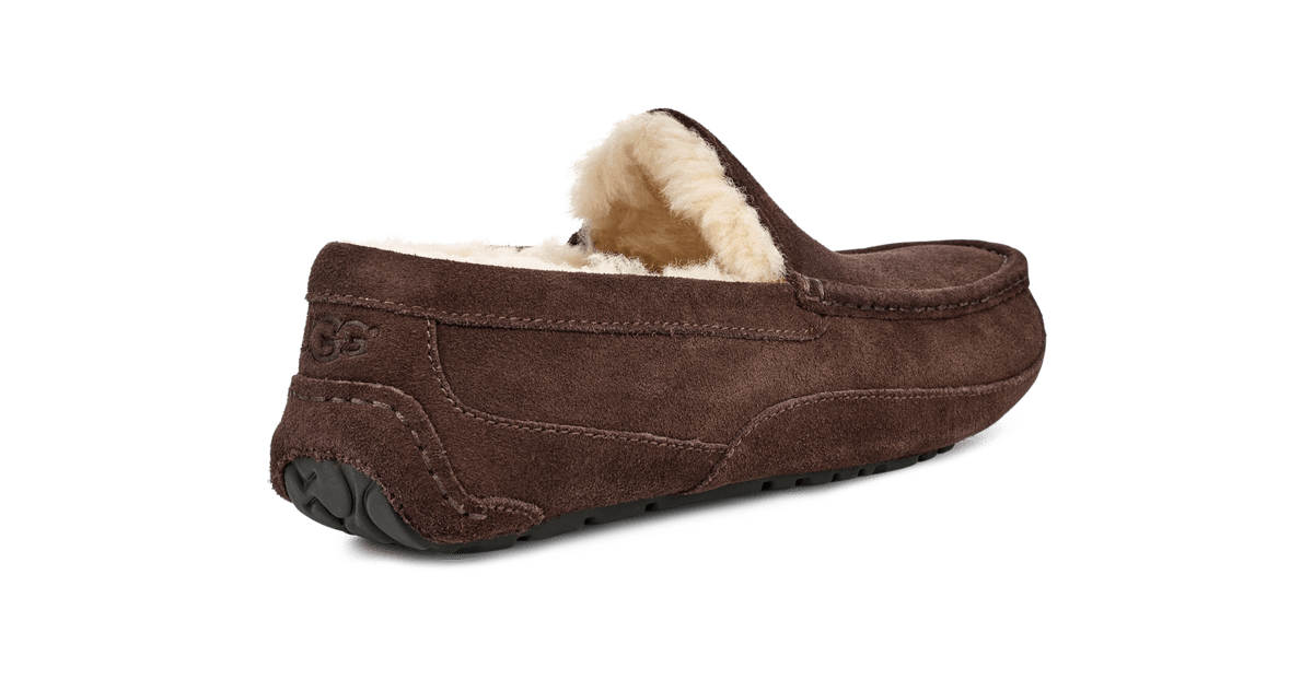 Ugg 2025 ascot espresso